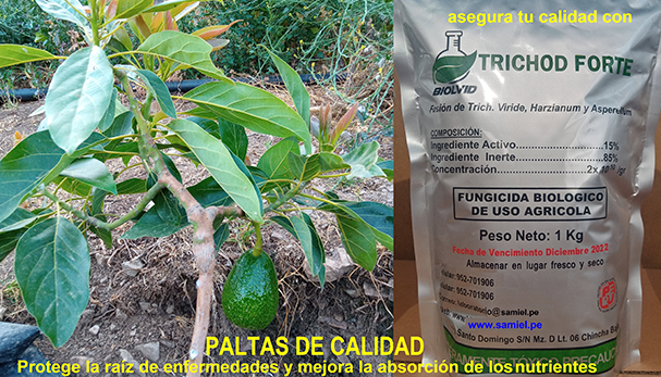 Trichod Forte protege tus plantas